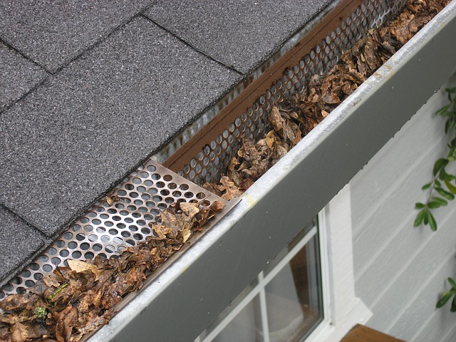 gutter-guard-ipswich-2434467_640